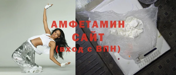 ГАЛЛЮЦИНОГЕННЫЕ ГРИБЫ Аркадак