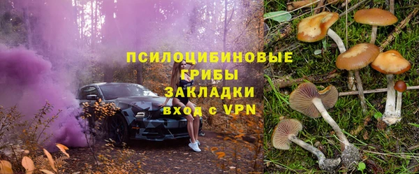 ГАЛЛЮЦИНОГЕННЫЕ ГРИБЫ Аркадак