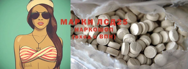 ГАЛЛЮЦИНОГЕННЫЕ ГРИБЫ Аркадак