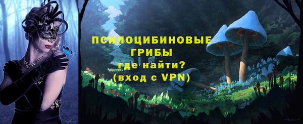 ГАЛЛЮЦИНОГЕННЫЕ ГРИБЫ Аркадак