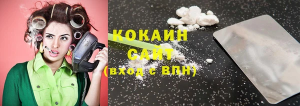 кокс Арсеньев