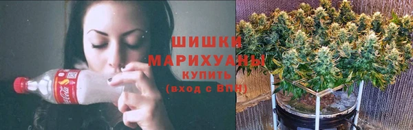ГАЛЛЮЦИНОГЕННЫЕ ГРИБЫ Аркадак
