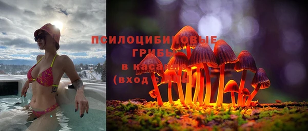стафф Армянск