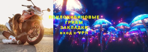 кокс Арсеньев